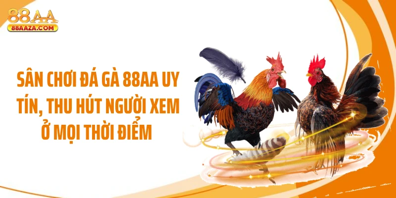Sân chơi đá gà 88AA uy tín, thu hút người xem ở mọi thời điểm 