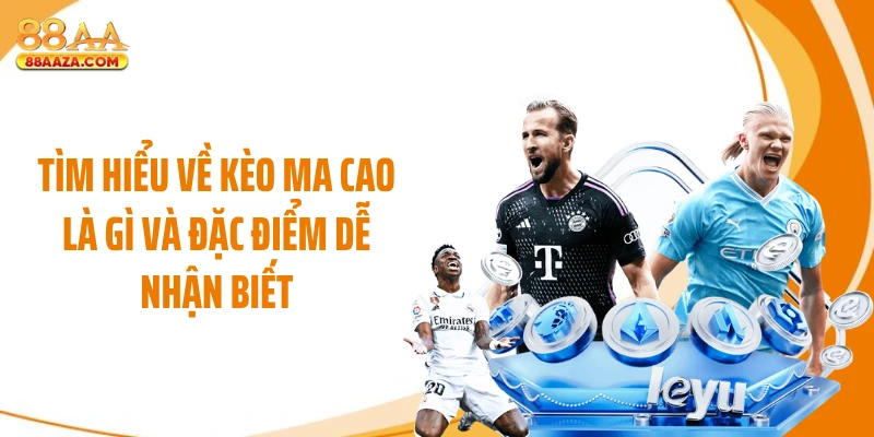 Tìm hiểu về kèo Ma Cao là gì và đặc điểm dễ nhận biết