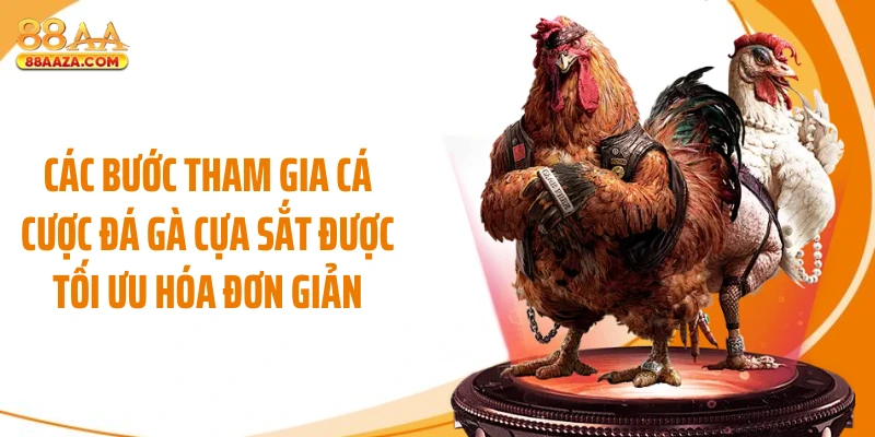 Các bước tham gia cá cược đá gà cựa sắt được tối ưu hóa đơn giản