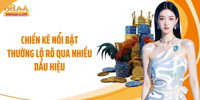 Chiến kê nổi bật thường lộ rõ qua nhiều dấu hiệu