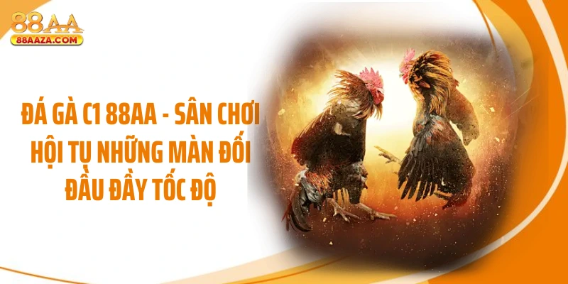 Đá Gà C1 88AA - Sân Chơi Hội Tụ Những Màn Đối Đầu Đầy Tốc Độ