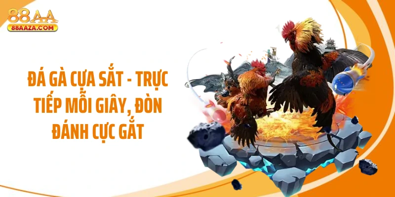 Đá Gà Cựa Sắt - Trực Tiếp Mỗi Giây, Đòn Đánh Cực Gắt