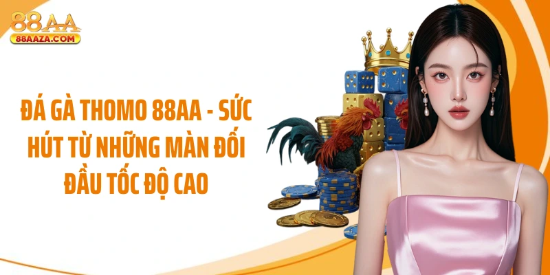 Đá Gà Thomo 88AA - Sức Hút Từ Những Màn Đối Đầu Tốc Độ Cao