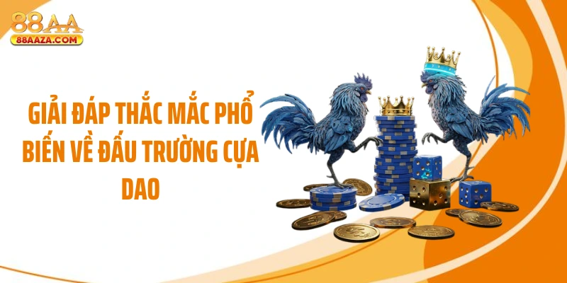 Giải đáp thắc mắc phổ biến về đấu trường cựa dao